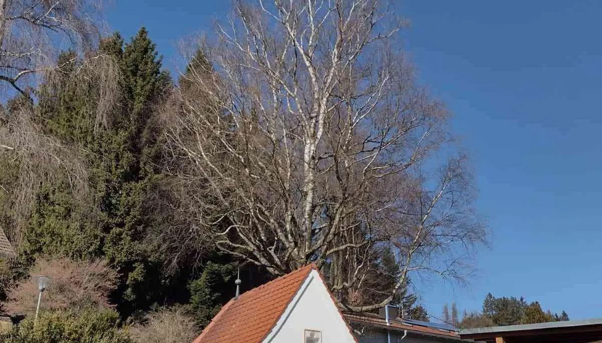 © DAV-Peißenberg