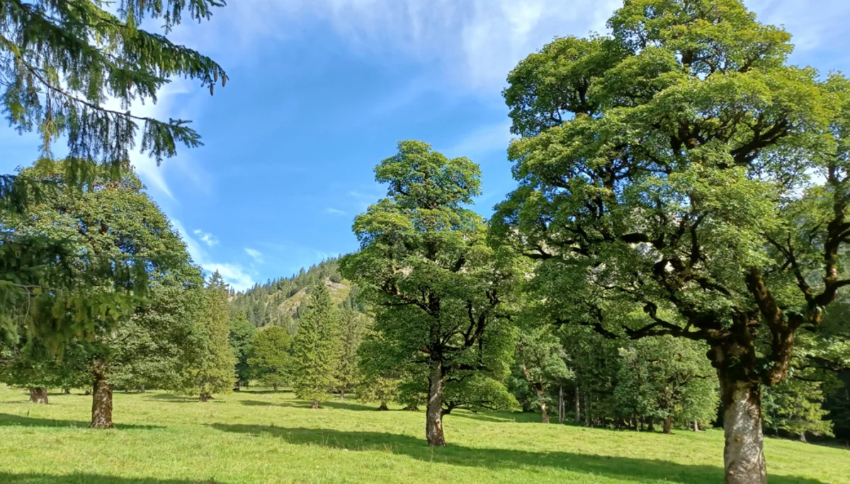 © DAV-Peißenberg