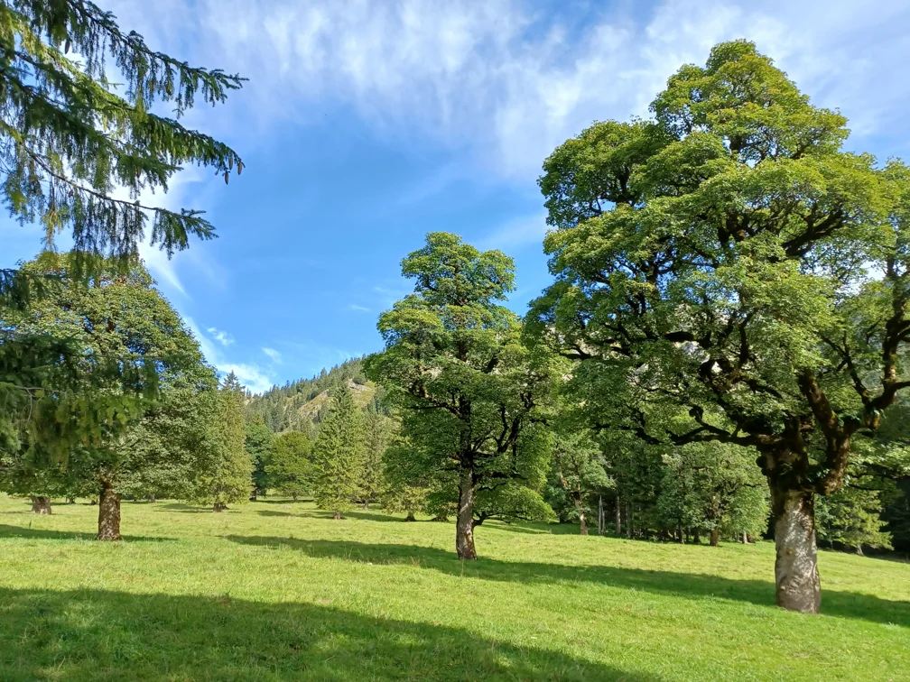 © DAV-Peißenberg