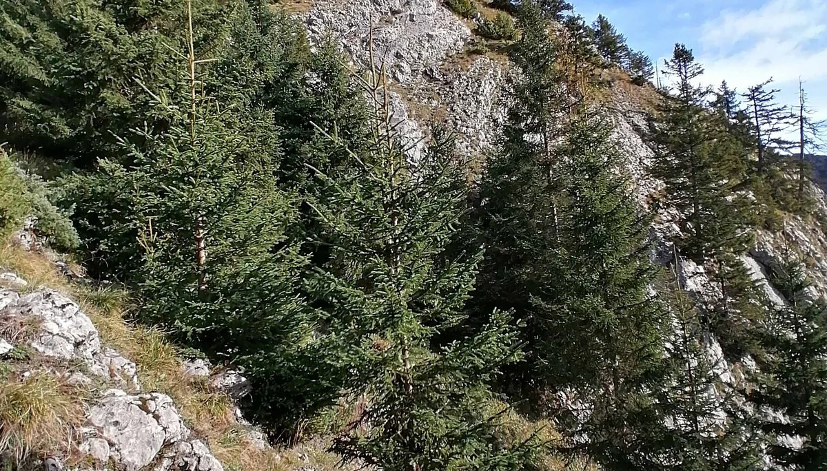© DAV-Peißenberg