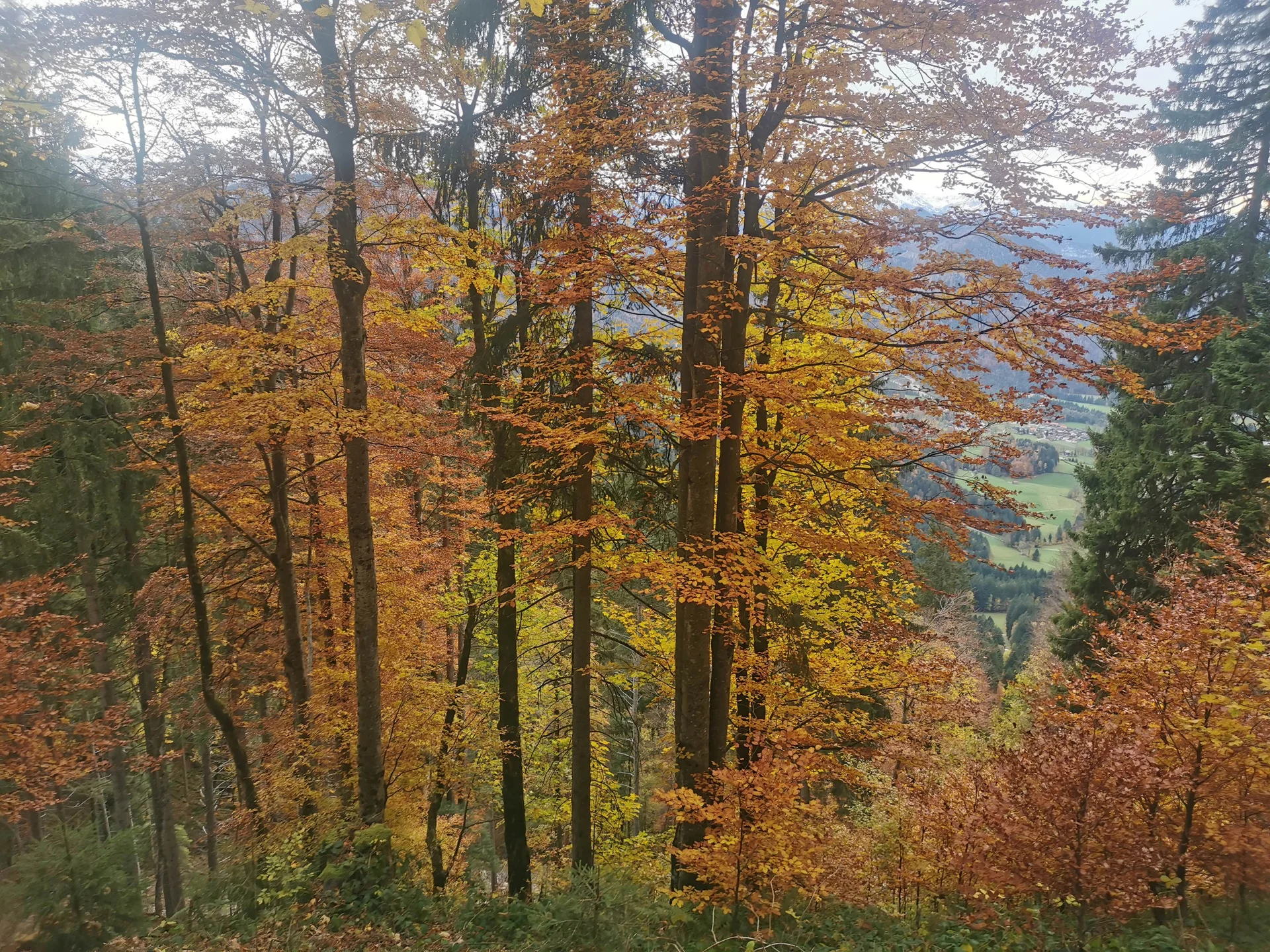 © DAV-Peißenberg
