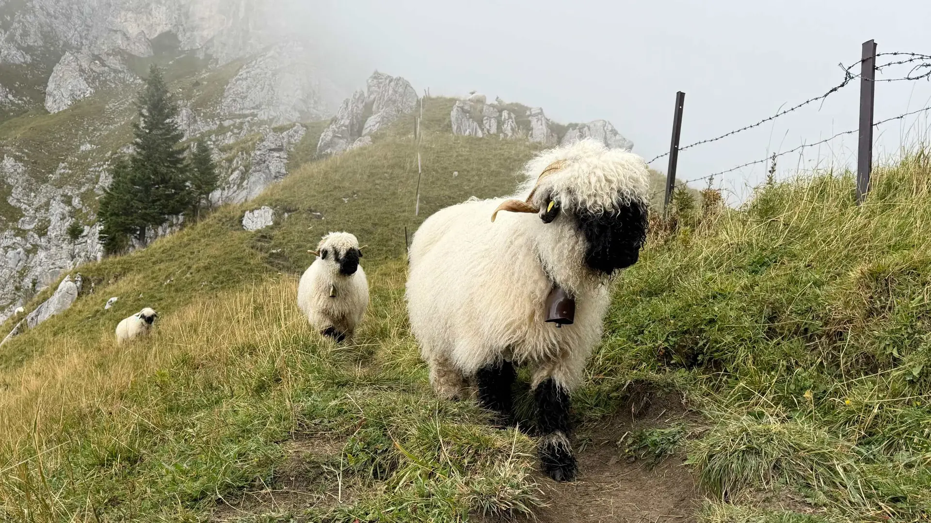 © DAV Peißenberg