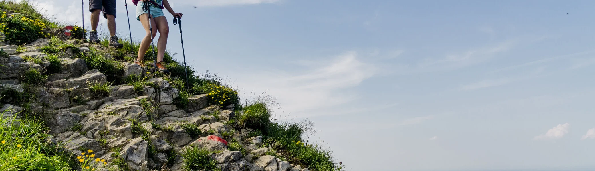 Zwei Wanderer mit Stöcken beim Abstieg | © DAV/Hans Herbig